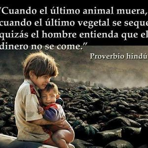 Meet your Posher, Pelladora